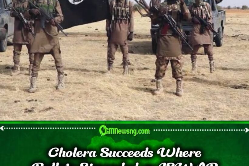 Cholera and ISWAP: Deadly Outbreak, Reported Executions Expose Hidden Crisis Inside Borno Terror Stronghold