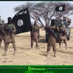Cholera and ISWAP: Deadly Outbreak, Reported Executions Expose Hidden Crisis Inside Borno Terror Stronghold