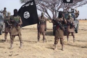 Cholera and ISWAP: Deadly Outbreak, Reported Executions Expose Hidden Crisis Inside Borno Terror Stronghold