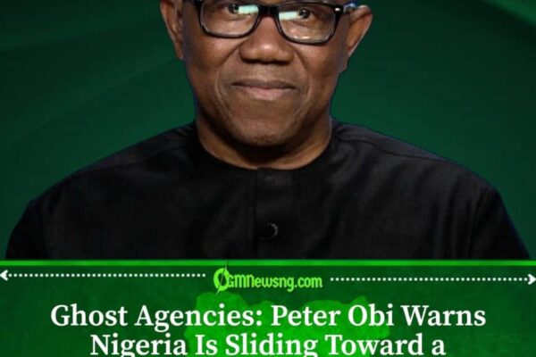 Ghost Agencies: Peter Obi Warns Nigeria Is Creating Costly Public Institutions