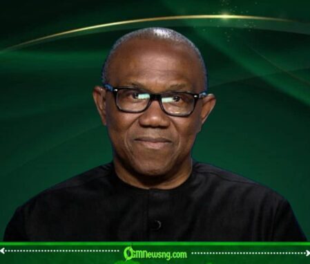 Ghost Agencies: Peter Obi Warns Nigeria Is Creating Costly Public Institutions