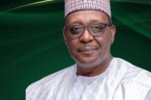 Health Agencies: Experts Warn Nigeria Is Prescribing More Bureaucracy Instead of Treating Its Healthcare Crisis