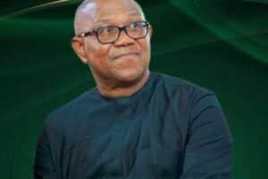 Peter Obi Declares: “Nobody Can Transform the North Better Than Me”