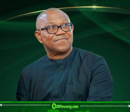 Peter Obi Declares: “Nobody Can Transform the North Better Than Me”