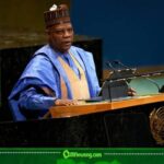 Vice President Kashim Shettima Tells South Africa: Don't Forget Nigeria Helped Secure Your Freedom