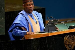 Vice President Kashim Shettima Tells South Africa: Don't Forget Nigeria Helped Secure Your Freedom