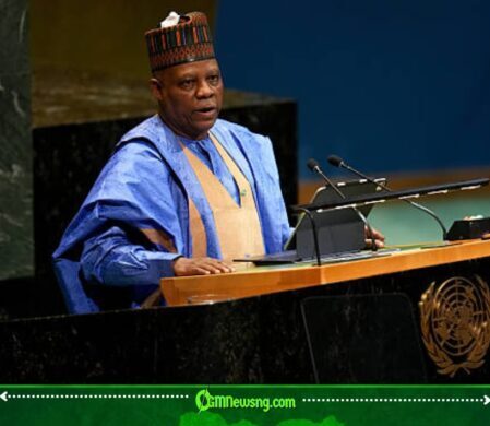 Vice President Kashim Shettima Tells South Africa: Don't Forget Nigeria Helped Secure Your Freedom