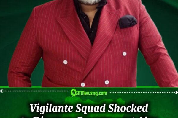 South Africa’s ‘Neighborhood Avengers’ Discover Government Also Came With Handcuffs