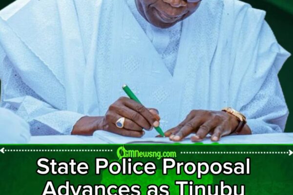 Tinubu Pushes State Police Bill: Nigeria’s Security Debate Gets a New Uniform