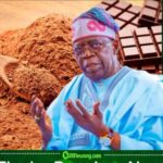 Tinubu Declares Chocolate Independence: Cocoa Beans Told to Stop Travelling Abroad Alone