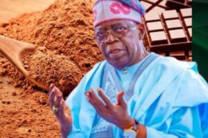 Tinubu Declares Chocolate Independence: Cocoa Beans Told to Stop Travelling Abroad Alone