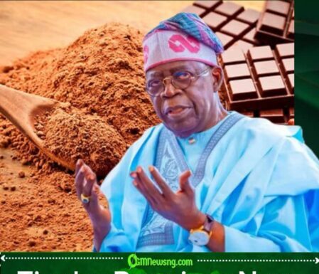 Tinubu Declares Chocolate Independence: Cocoa Beans Told to Stop Travelling Abroad Alone