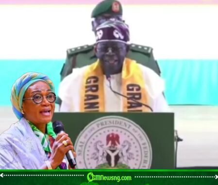 President Bola Ahmed Tinubu’s ‘Iya Alakara’ Remark Divides Opinion at State House Dinner