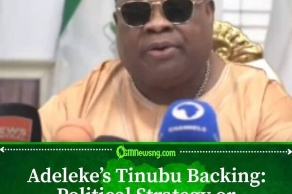 Ademola Adeleke Says His Support for Tinubu Is Based on Yoruba and South-West Identity