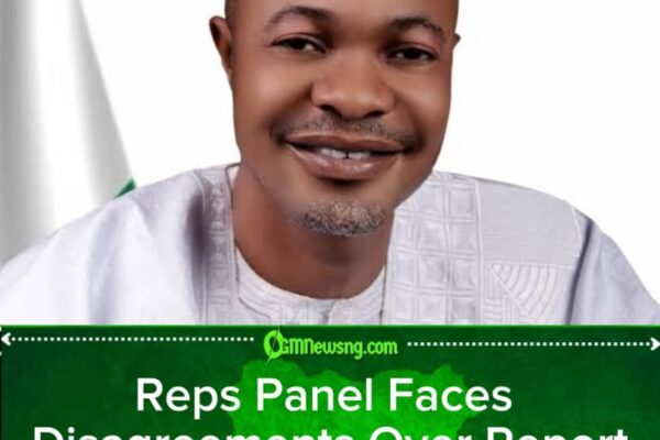 Fake Agency Probe Hits Another Roadblock as Reps Panel Battles Disagreements