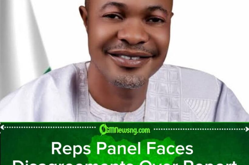 Fake Agency Probe Hits Another Roadblock as Reps Panel Battles Disagreements