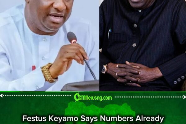 Festus Keyamo Says 2027 Is a “Coronation,” Not an Election