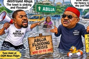 Flooding: “Wike Has Destroyed Abuja” — Adeyanju Says Capital City Dey Sink Under Water