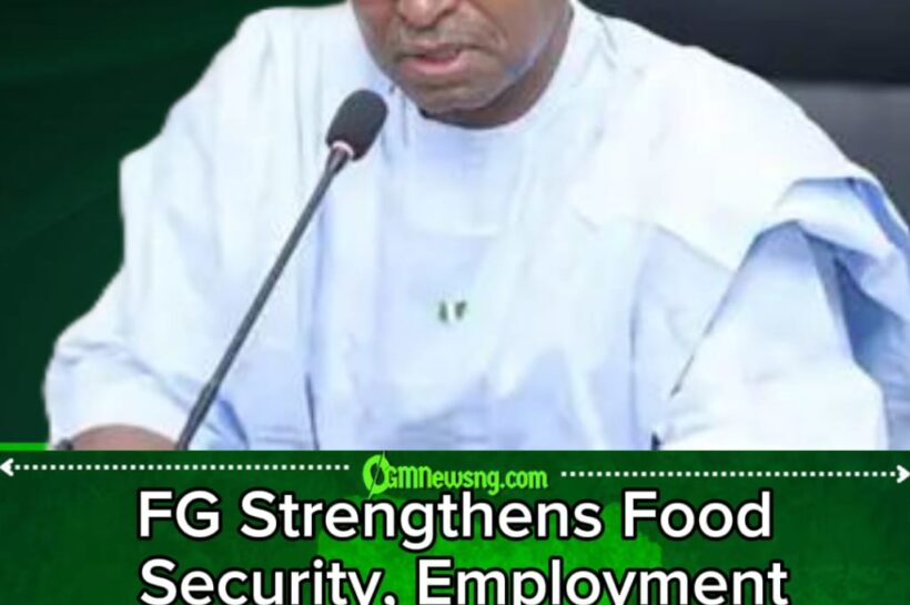 FG Renews Food Security Promise as Nigerians Renew Their Search for Affordable Food and Decent Jobs