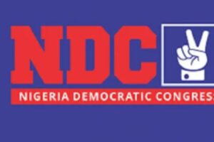 NDC’s Activism Drama: Party Spokesperson Wants ‘Content Creators’ Shown the Political Exit Door