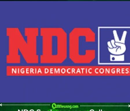 NDC’s Activism Drama: Party Spokesperson Wants ‘Content Creators’ Shown the Political Exit Door