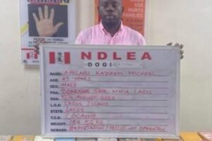 Luxury, Cocaine and a One-Way Escape Plan: NDLEA Allegedly Smashes International Drug Cartel