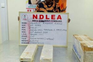 NDLEA Finds ‘Jihadi Drug’ Hiding in Ghana Soap as Nigeria’s Drug Traffickers Apparently Discover a New Meaning of Clean Living