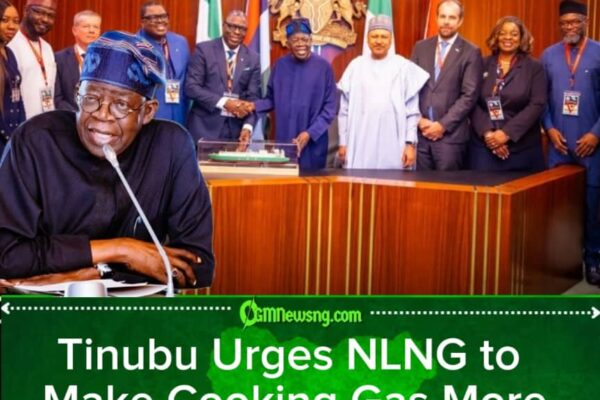 NLNG: Make Cooking Gas Cheaper Before Nigerians Start Cooking With Hope Tinubu Tells NLNG
