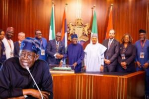 NLNG: Make Cooking Gas Cheaper Before Nigerians Start Cooking With Hope Tinubu Tells NLNG