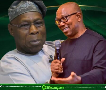 Africa Holds Emergency Meeting As Obasanjo And Peter Obi Pick Talk On Democratic Governance