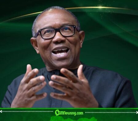 Peter Obi Says He May Ask God Why He Entered Politics