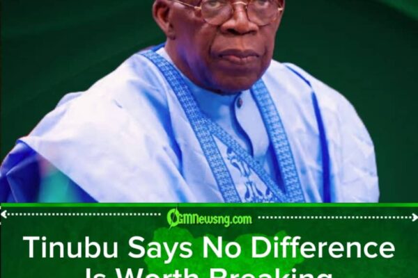 Tinubu Says No Difference Is Worth Breaking Nigeria Apart, as Politicians Continue Shopping for Differences