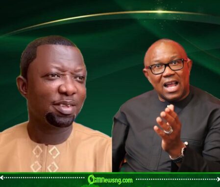 Labour Party Chieftain Abayomi Arabambi Drags UNN to Court Over Peter Obi’s Academic Records