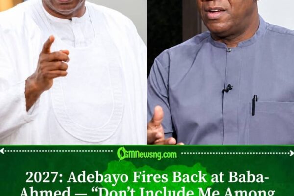 2027: Adebayo Rejects Baba-Ahmed’s Verdict on Presidential Candidates