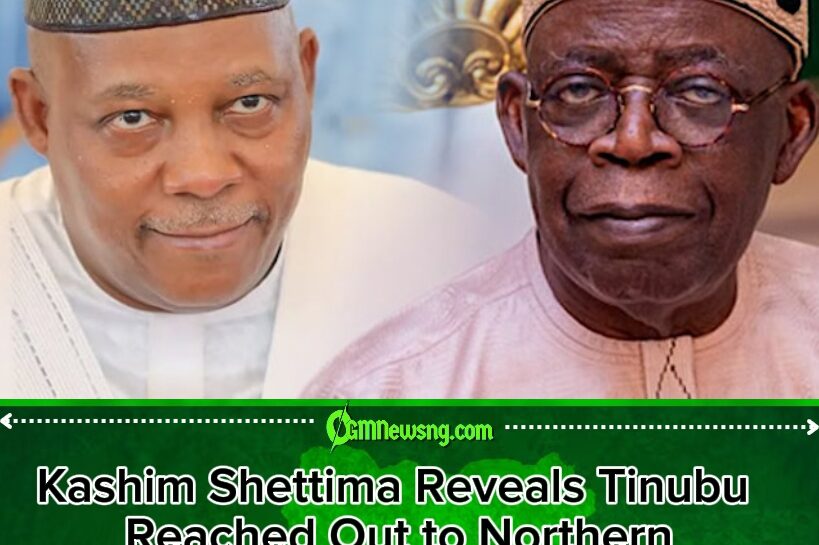 Kashim Shettima: Tinubu Forgave Northern Governors Who Opposed Him in 2023