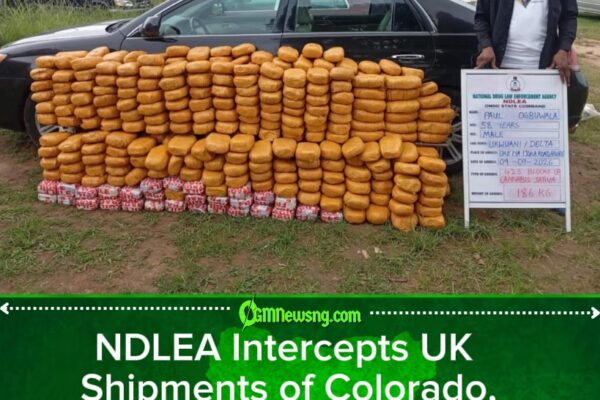 NDLEA Turns Nigeria’s Drug Cartels Into a Game of Hide-and-Seek as Colos Surface in Speakers, Bread and UK Cargo