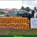NDLEA Turns Nigeria’s Drug Cartels Into a Game of Hide-and-Seek as Colos Surface in Speakers, Bread and UK Cargo