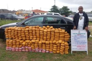 NDLEA Turns Nigeria’s Drug Cartels Into a Game of Hide-and-Seek as Colos Surface in Speakers, Bread and UK Cargo