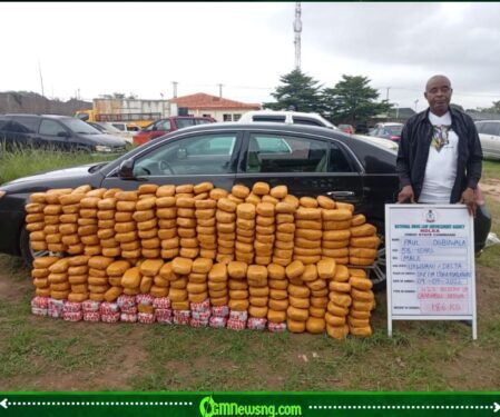 NDLEA Turns Nigeria’s Drug Cartels Into a Game of Hide-and-Seek as Colos Surface in Speakers, Bread and UK Cargo