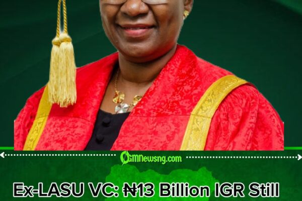 Ibiyemi Olatunji-Bello, Ex-LASU VC: Public Universities Should Charge At Least ₦1 Million Per Student