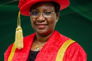 Ibiyemi Olatunji-Bello, Ex-LASU VC: Public Universities Should Charge At Least ₦1 Million Per Student