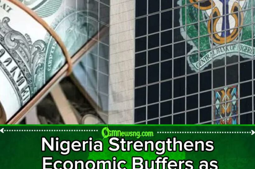 Nigeria’s Dollar Piggy Reserves Bank Swells to $54.08bn, Economy Politely Asks Citizens Not to Panic