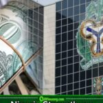 Nigeria’s Dollar Piggy Reserves Bank Swells to $54.08bn, Economy Politely Asks Citizens Not to Panic
