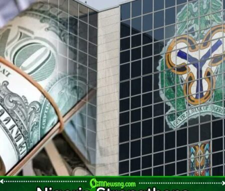 Nigeria’s Dollar Piggy Reserves Bank Swells to $54.08bn, Economy Politely Asks Citizens Not to Panic