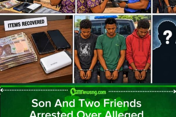 Son Allegedly Joins Forces With Two Friends To Rob His Own Mother In Adamawa — Family Business Turns Into Police Matter