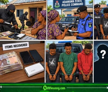Son Allegedly Joins Forces With Two Friends To Rob His Own Mother In Adamawa — Family Business Turns Into Police Matter