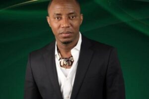 2027: Sowore Says Nigeria Needs Over 60,000MW to Restore Economic Productivity