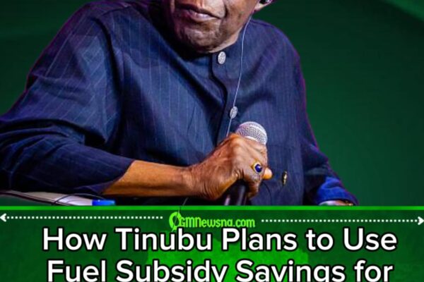 Tinubu’s Subsidy Surgery: From Petrol Pump Pain to Schools, Hospitals and Roads
