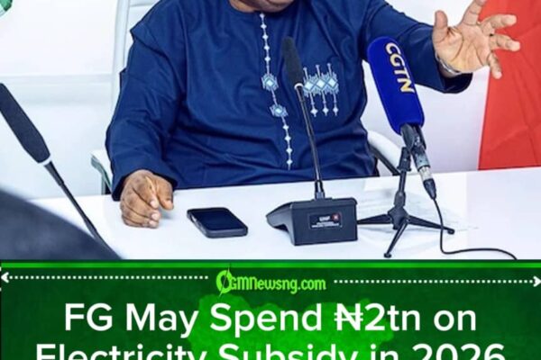 Tegbe Says Federal Government May Spend ₦2tn Keeping Electricity Tariffs Frozen as Nigerians Wait for the Light at the End of the Cable
