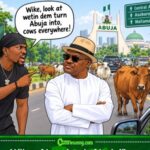 “Wike, Look Wetin Dem Turn Abuja Into!” VeryDarkMan Drags FCT Minister as Abuja Street Grazing Refuses to Disappear